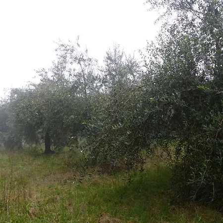 Frühstückspension A Casa Di Mael San Costanzo