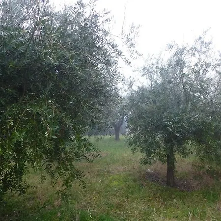 Frühstückspension A Casa Di Mael *
