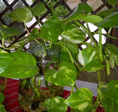 Bed and Breakfast A Casa Di Mael 3*