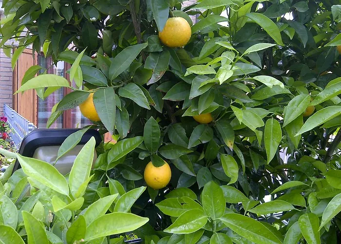 Alojamento de Acomodação e Pequeno-almoço A Casa Di Mael San Costanzo
